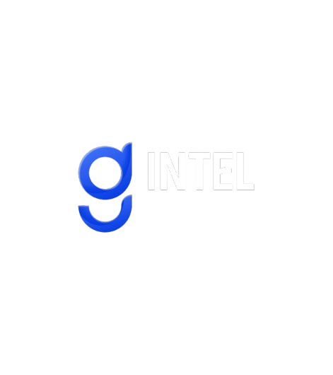 GINTEL | Global Fintech